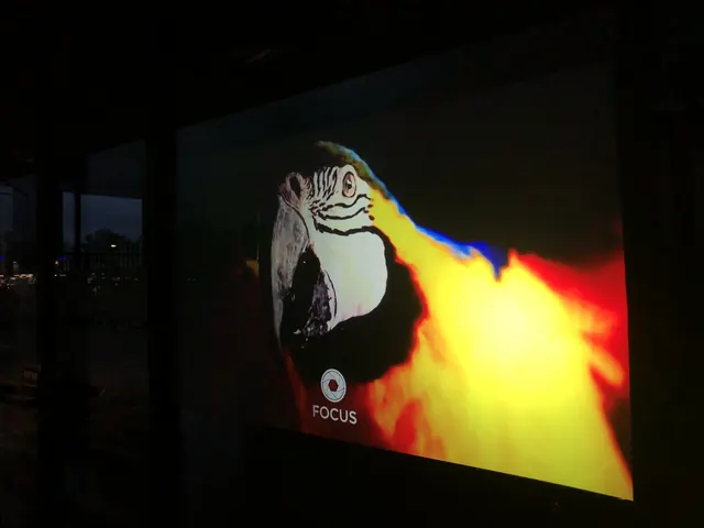 Parrot, storefront display.