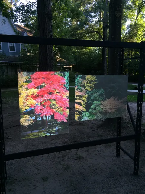 Projected image on an uncoated panel in the yard — the problem stated in daylight.