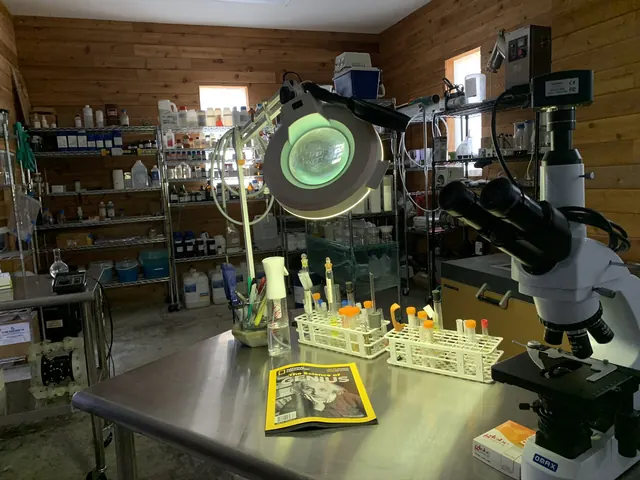 Microscope bench.