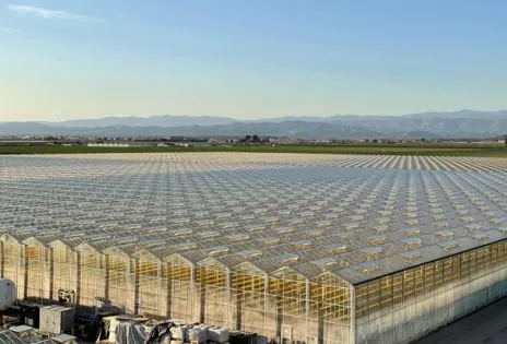 Greenhouses — thinking about structured light for crops.