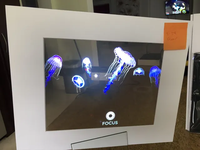 Jellyfish on the framed FOCUS display.