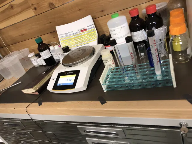 The scale and the bottles.